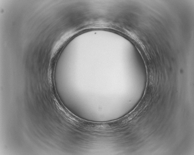 X0000057061464200510071354