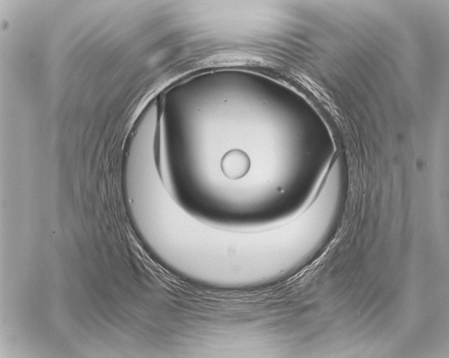 X0000057061465200510071354