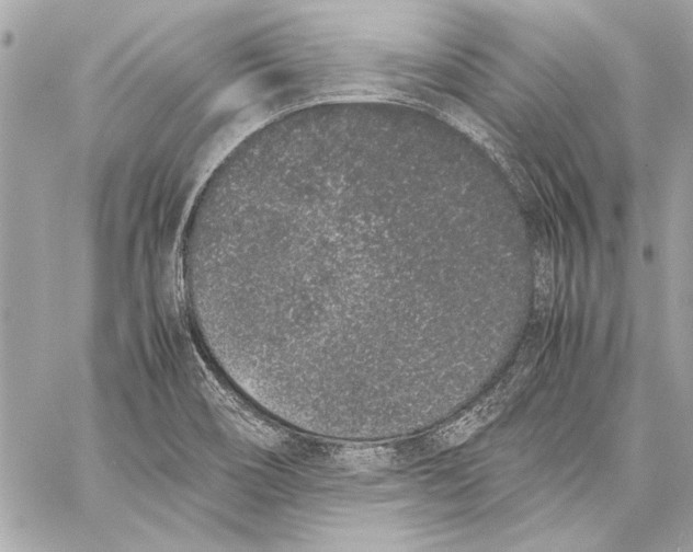 X0000057061466200510071354