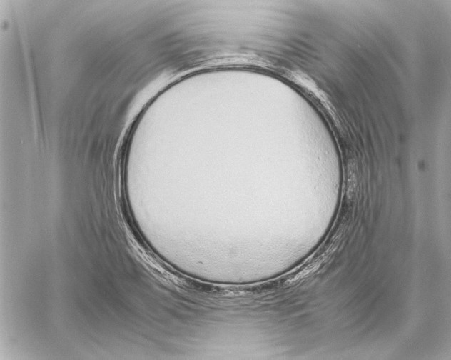 X0000057061467200510071354