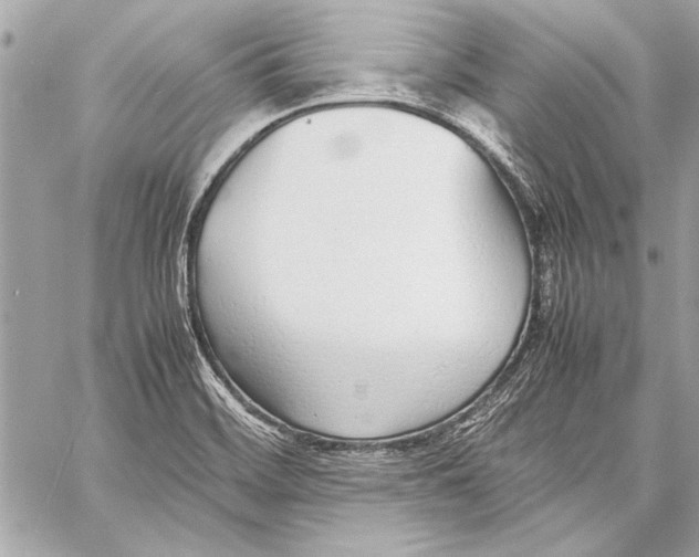 X0000057061468200510071354