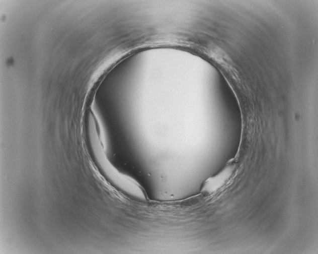 X0000057061469200510071354