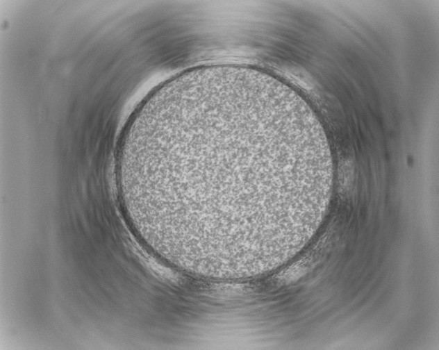 X0000057061470200510071354