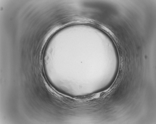 X0000057061471200510071354