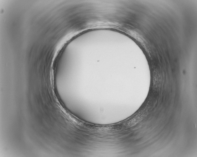 X0000057061472200510071354