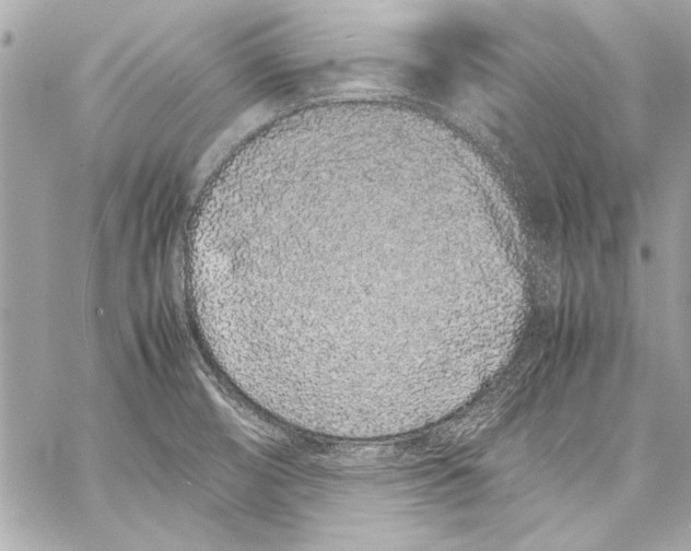 X0000057061474200510071354