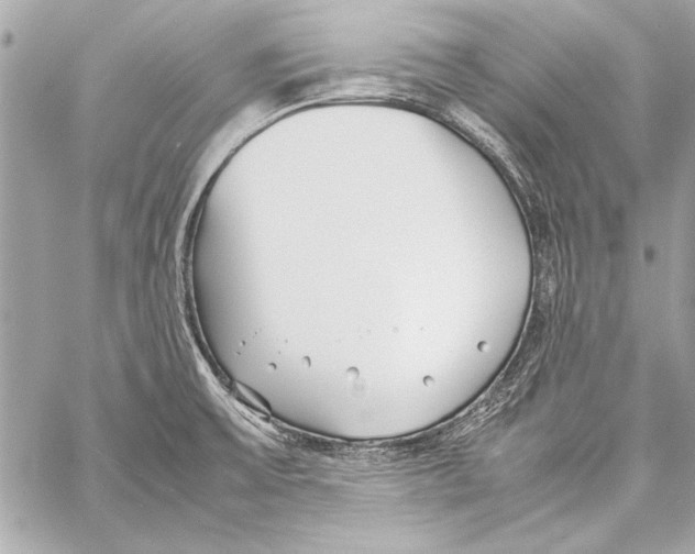 X0000057061475200510071354