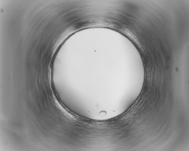 X0000057061476200510071354