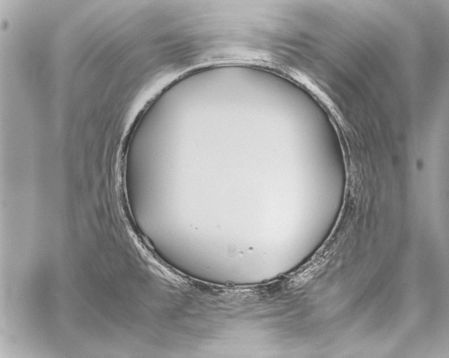 X0000057061477200510071354