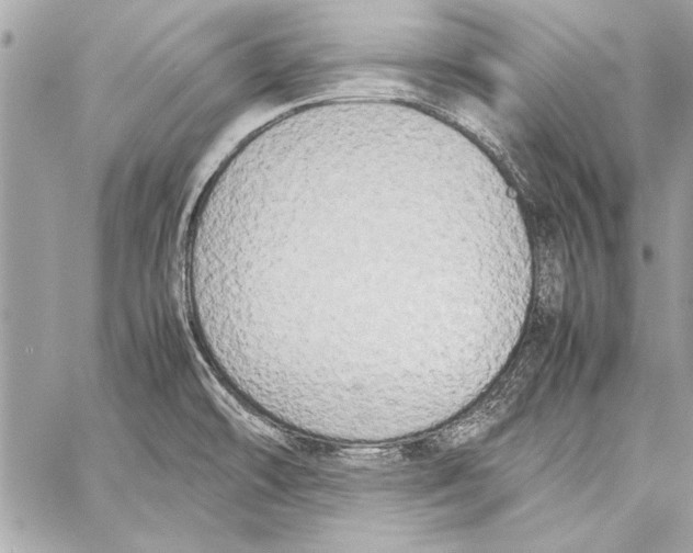 X0000057061478200510071354