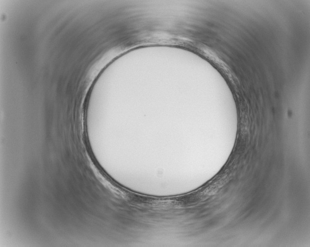 X0000057061479200510071354