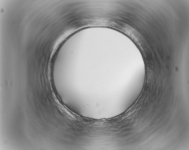 X0000057061480200510071354