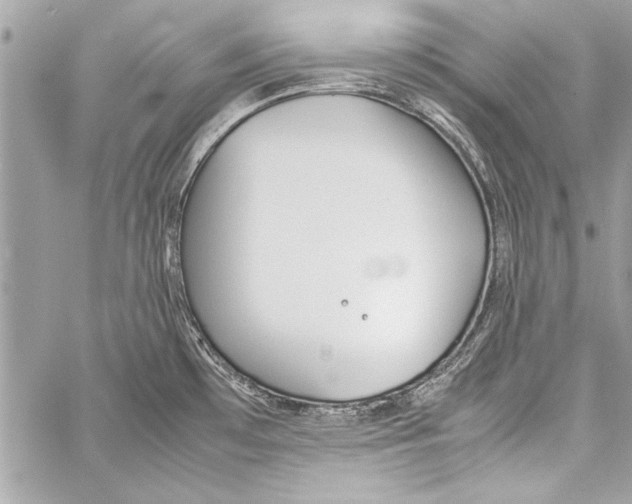 X0000057061481200510071354