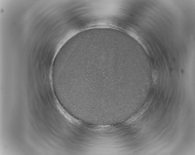 X0000057061482200510071354