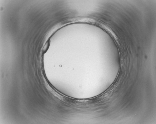 X0000057061483200510071354