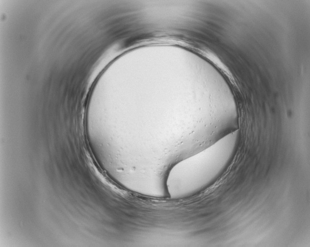 X0000057061484200510071354