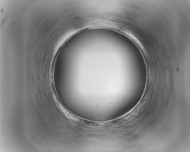 X0000057061485200510071354