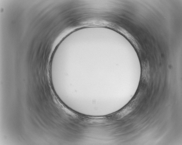 X0000057061486200510071354