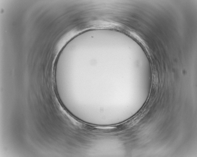 X0000057061487200510071354