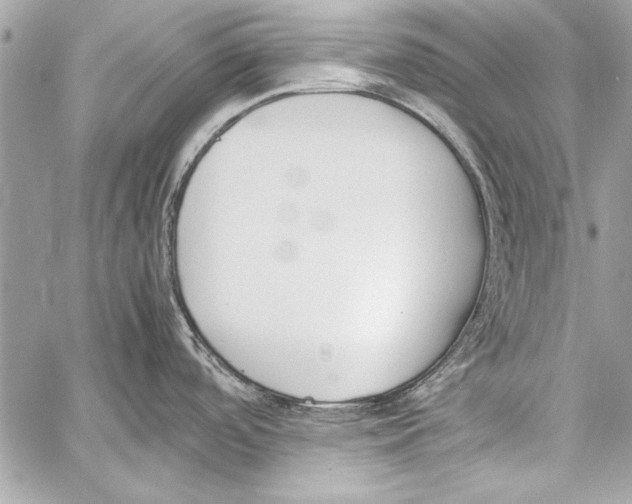 X0000057061488200510071354