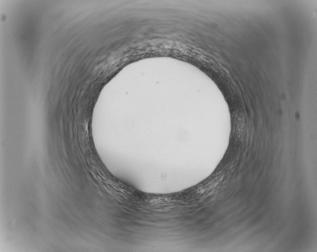 X0000057061489200510071353