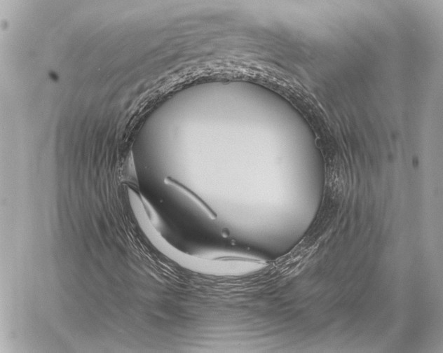 X0000057061490200510071353