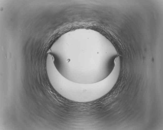 X0000057061492200510071353