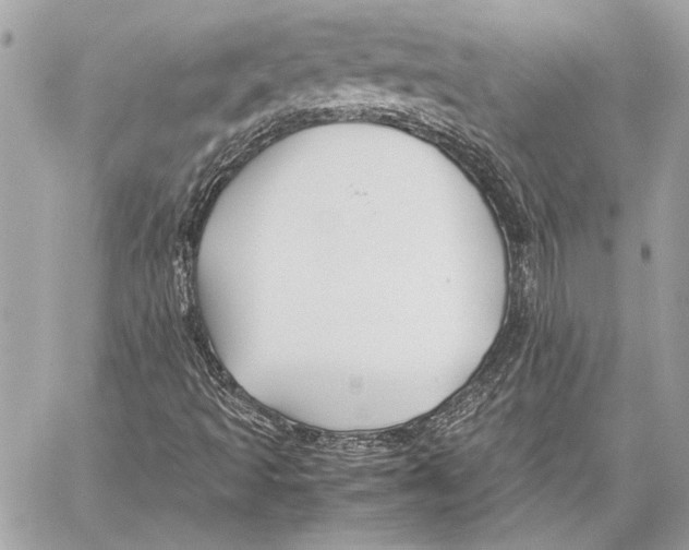 X0000057061493200510071353