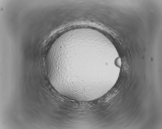 X0000057061494200510071353