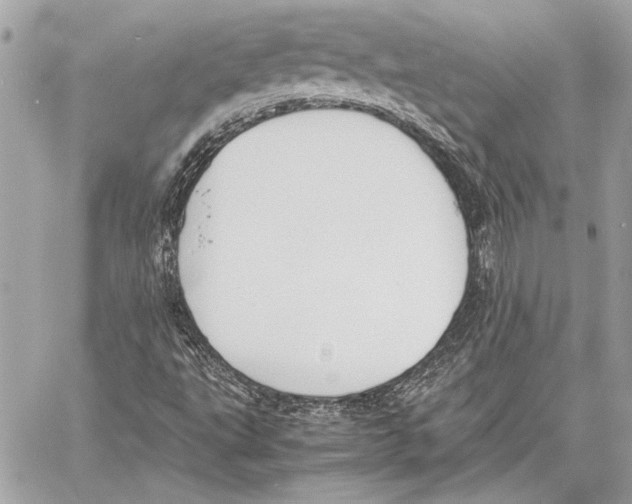 X0000057061495200510071353