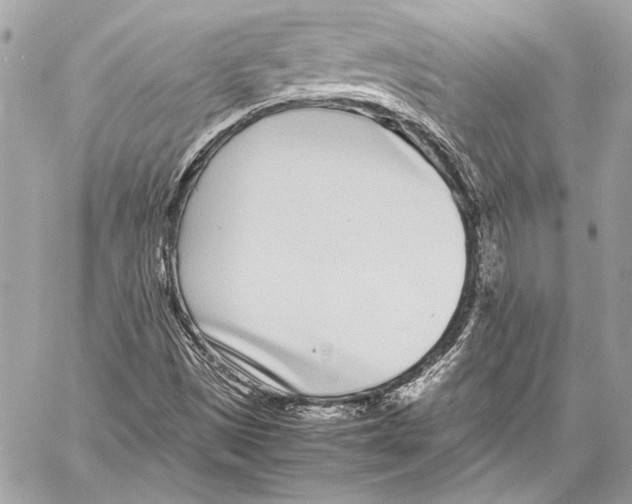 X0000057061497200510071353