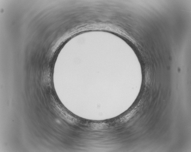 X0000057061498200510071353