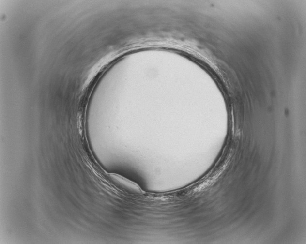 X0000057061501200510071353