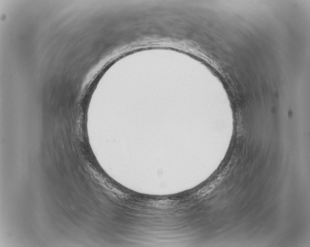 X0000057061502200510071353