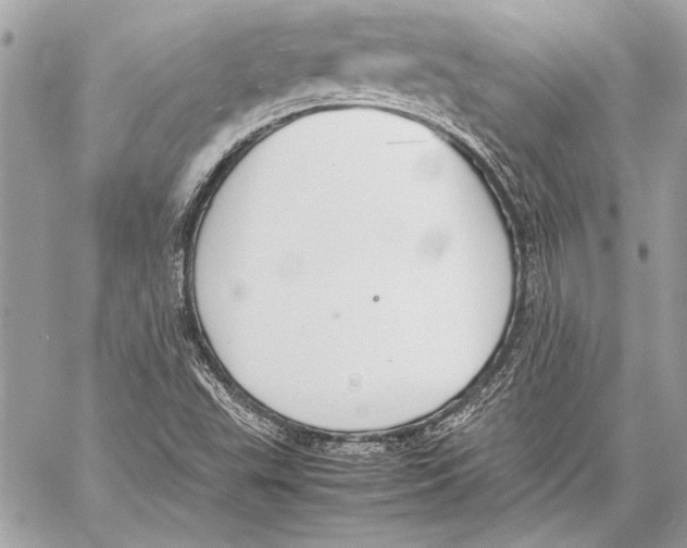 X0000057061503200510071353