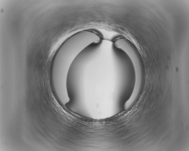 X0000057061504200510071353