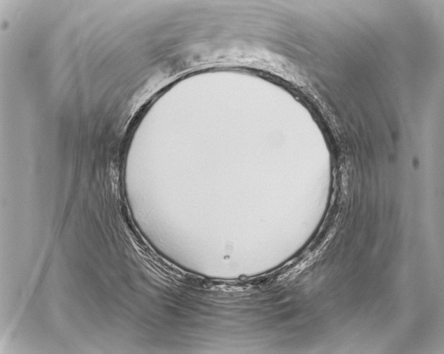 X0000057061505200510071353