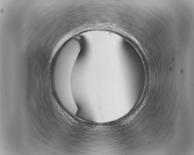 X0000057061506200510071353