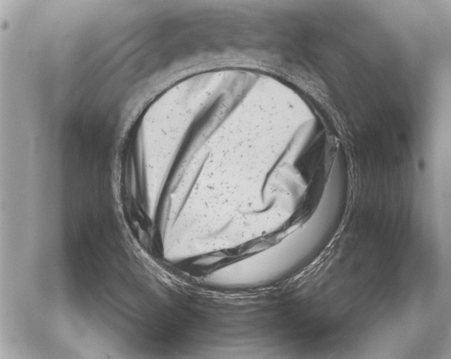 X0000057061508200510071353