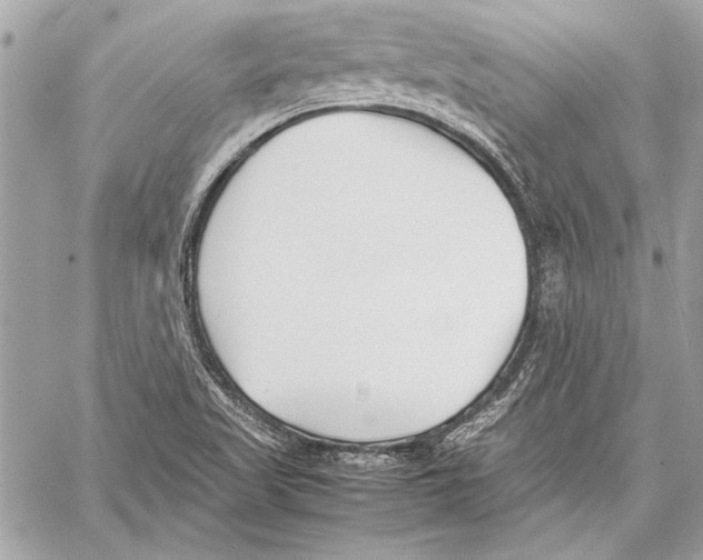 X0000057061509200510071353