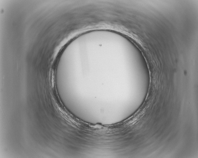 X0000057061510200510071353