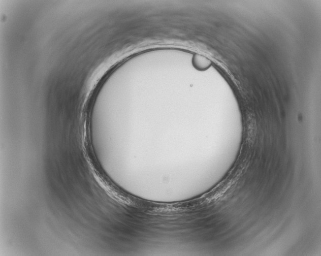 X0000057061511200510071353