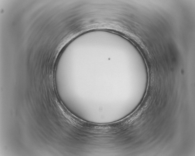 X0000057061513200510071353