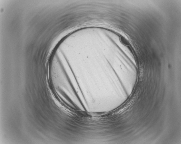 X0000057061515200510071353