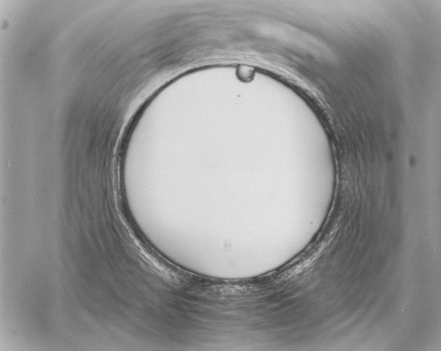 X0000057061517200510071353