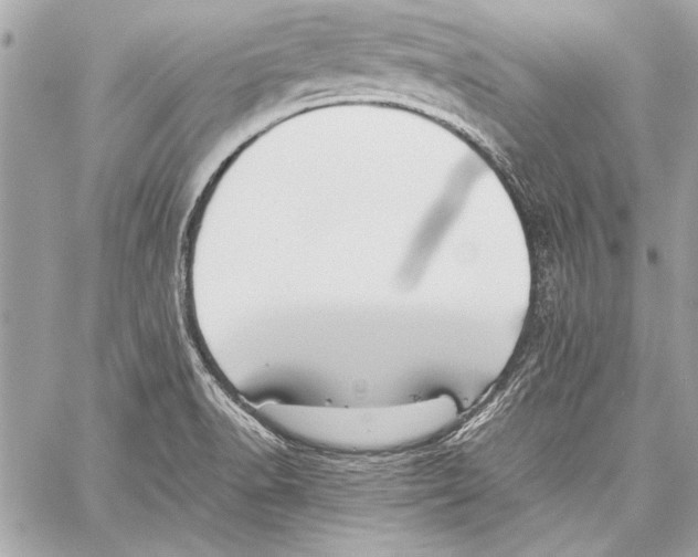 X0000057061518200510071353