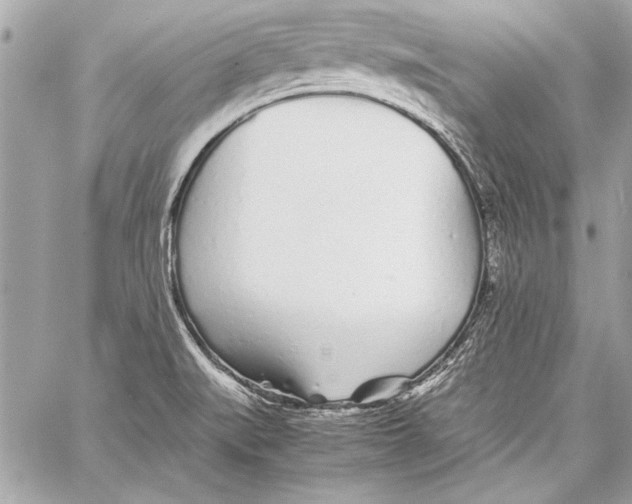 X0000057061519200510071353