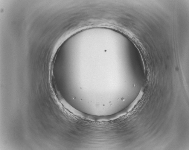 X0000057061520200510071353