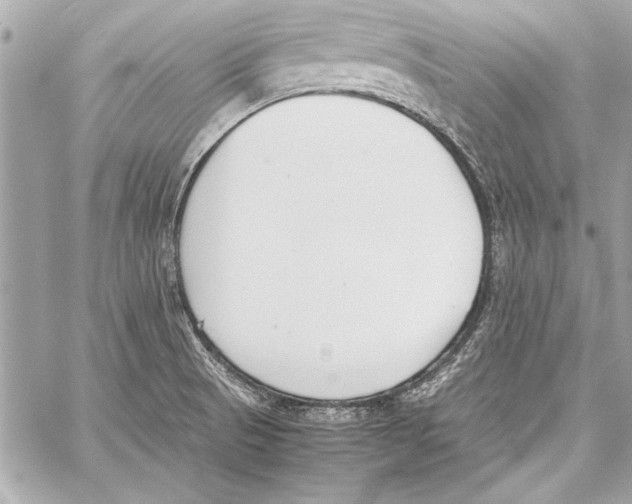 X0000057061521200510071353