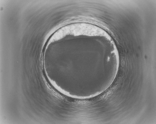 X0000057061522200510071353